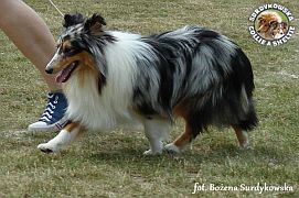 Princuś