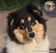 Kenia
