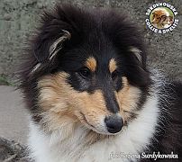 Kenia