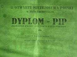 Faberka Dyplom Pasterza