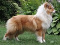 FELICITA ze Skalní vyhlídky - mama Lady