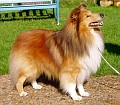 Lundecock's WATERMARK - dziadek Lady