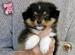 Emma 6 tygodni  :)