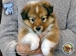 Parys 6 tygodni  :)