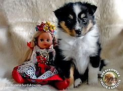 Pollcia 6 tygodni  :)