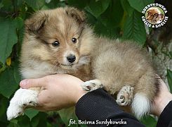 EMIL THE LITTLE PRINCE - Emilek  :)