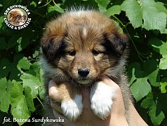 COMPLEMENT GRAND CHARLY - Charly  :)