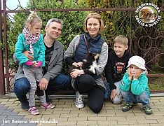 GUARDIAN DREAM DESIGN - Luna  :)