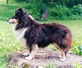 BAILEYS z Ďáblovy studánky - prababcia Polly