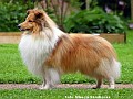 Mybackens BONNY M - dziadek Redzika