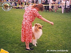 Redżi - wystawa Gdynia 25.07.1999