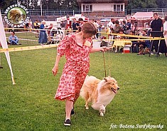 Redżi - wystawa Gdynia 25.07.1999