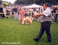 Redżi - wystawa Gdynia 25.07.1999