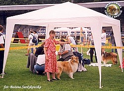 Redżi - wystawa Gdynia 25.07.1999