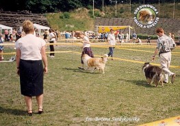 Redżi - wystawa Słupsk 04.07.1999