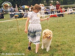 Redżi - wystawa Sopot 14.08.1999