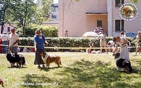 Mercia - wystawa Olsztyn 11.06.2000