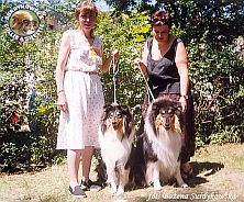 Owczarki Szkockie Collie - rodzeństwo miotowe: MERETH Laurelin Valaquenta at Surdykowska FCI i MITHRANDIR Laurelin Valaquenta FCI Mercia - wystawa Olsztyn 11.06.2000