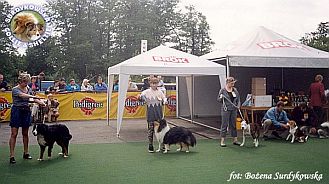 Owczarek Szkocki Collie - MERETH Laurelin Valaquenta at Surdykowska FCI Mercia - wystawa Słupsk 28.05.2000