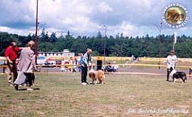 Mercia - wystawa Szczecin 17.06.2000
