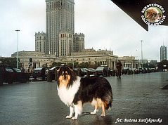Mercia - wystawa Warszawa 08.07.2000