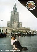 Mercia - wystawa Warszawa 08.07.2000