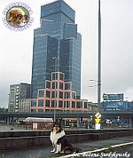 Mercia - wystawa Warszawa 08.07.2000
