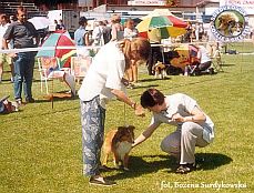 Boni - wystawa Gdynia 22.07.2001