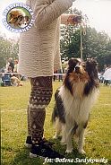 Owczarek Szkocki Collie - MŁ.CH.PL. MERETH Laurelin Valaquenta at Surdykowska FCI Mercia - wystawa Słupsk 27.05.2001
