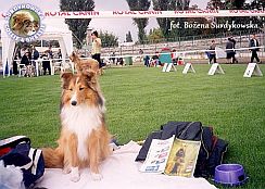 Boni - wystawa Włocławek 02.09.2001