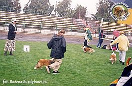 Boni - wystawa Włocławek 02.09.2001