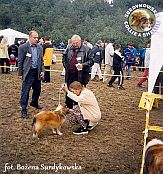 Boni - wystawa Zielona Góra 16.09.2001