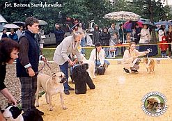 Boni - wystawa Zielona Góra 16.09.2001