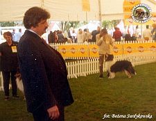 Owczarek Szkocki Collie - MŁ.CH.PL. MERETH Laurelin Valaquenta at Surdykowska FCI Mercia - wystawa Leszno 12.05.2001