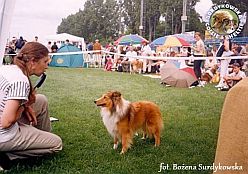 Boni - wystawa Gdynia 21.07.2002