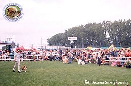 Boni - wystawa Gdynia 21.07.2002