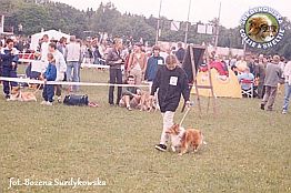 Boni - wystawa Olsztyn 16.06.2002