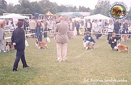 Boni - wystawa Olsztyn 16.06.2002