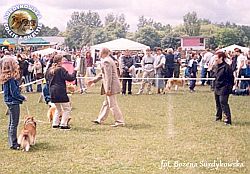 Boni - wystawa Olsztyn 16.06.2002