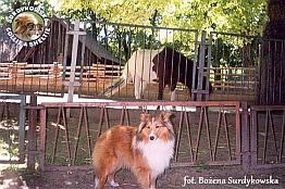 Boni - wystawa Leszno 18.05.2002