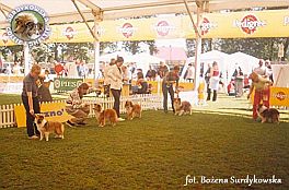 Boni - wystawa Leszno 18.05.2002