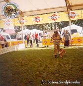 Boni - wystawa Leszno 18.05.2002
