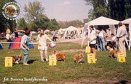 Boni - wystawa Łódż 04.05.2002