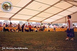 Boni - wystawa Sopot 10.08.2002