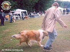 Amorik - wystawa Szczecin 21.06.2003