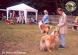 Amorik - wystawa Szczecin 21.06.2003