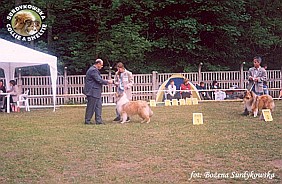 Amorik - wystawa Szczecin 21.06.2003