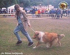Arika - wystawa Szczecin 21.06.2003