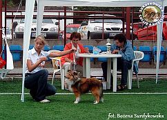 Celinka - wystawa Gdynia 17.07.2005