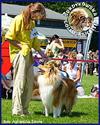 Ronja - wystawa Gdynia 15.07.2007